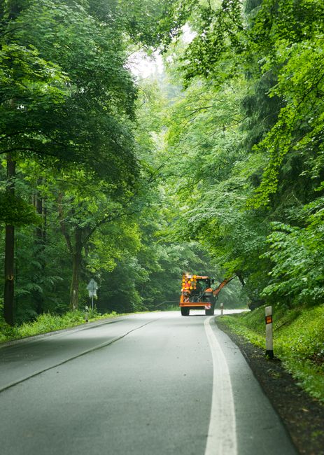 A narrow residential street lined with dense green foliage and tall trees on both sides, forming a canopy over the road. A small orange utility truck with a hydraulic arm is positioned in the middle of the lane, actively engaged in working on the roadside. The street surface is paved and slightly curved, with white road markings along the edges. A roadside bollard and traffic sign are visible on the left side, indicating the area’s regulation. The scene depicts a quiet, suburban environment during daylight, with natural light filtering through the tree leaves, highlighting the lush greenery. This setting can relate to house removals or moving logistics, where the street’s narrow access may require careful planning by companies like Man with Van Friern Barnet for efficient furniture transport and packing during home relocation.